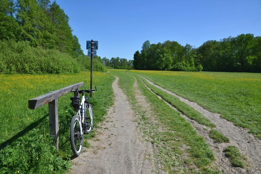 Přes louky od jezera Poděbrady je to do Olomouce už jen pár kilometrů. Litovelské Pomoraví na kole.