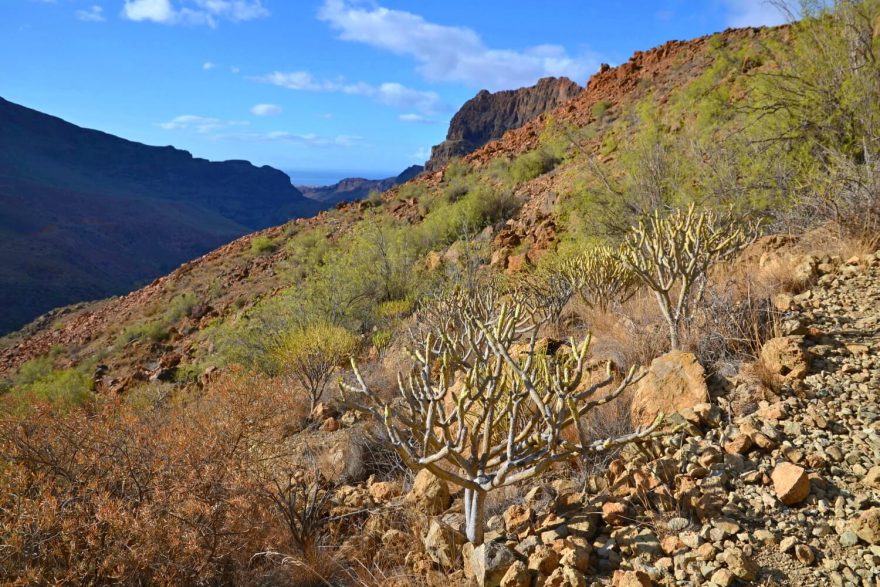 Stoupáme na hřebeny nad Maspalomas, Gran Canaria