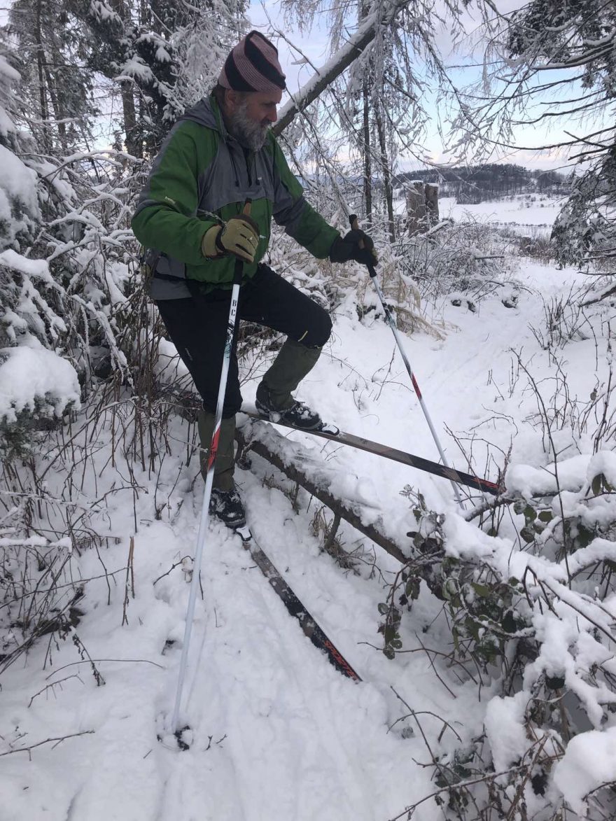 Překážek v lesích může být hodně, ale pro tyhle běžky to není problém