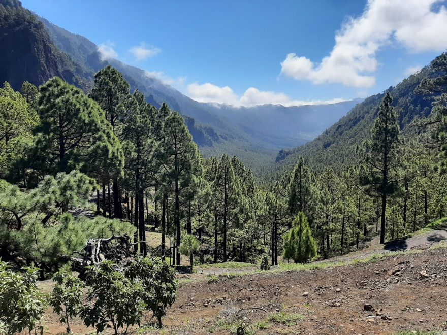 Pohled na horský hřeben Cumbre Nueva, La Palma, Kanárské ostrovy.