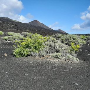 Sopečná pustina na jihu La Palmy. Ruta de los Volcanes, Kanárské ostrovy