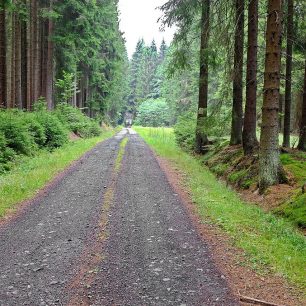 Český les u Krásné (Tři Sekery) v místě u Helmutova kříže
