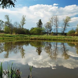 Množství malých i velkých rybníků je typickým obrázkem z Jižních Čech.