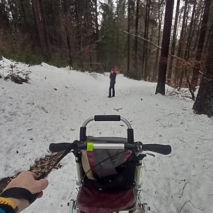 Vozík se díky lyžinám dá dobře vozit také na běžky či skialpy.