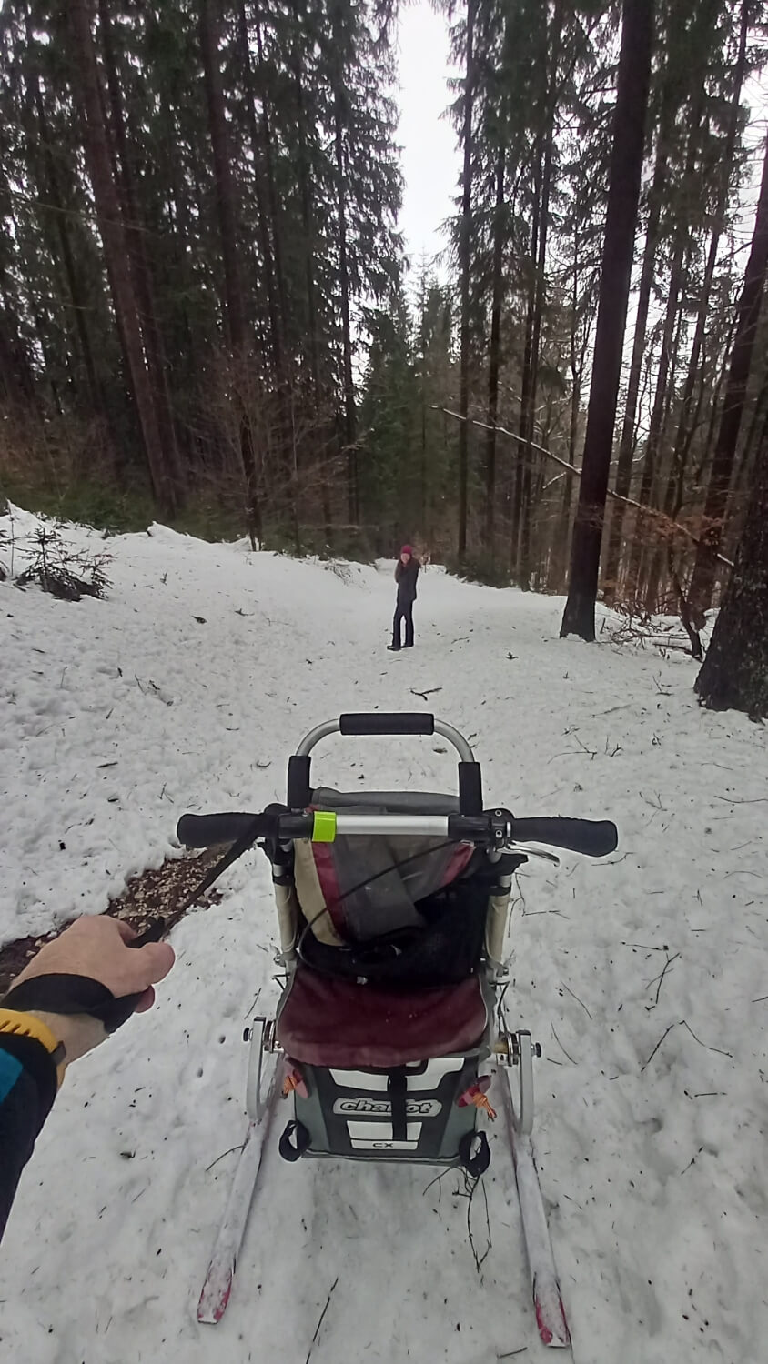 Vozík se díky lyžinám dá dobře vozit také na běžky či skialpy.