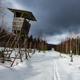 Zasněžené Brdy jsou skvělým terénem pro výlety na běžkách