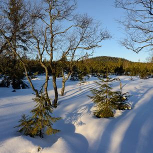 Krušnohorská lyžařská magistrála představuje jednu z nejkrásnějších dálkových tras u nás