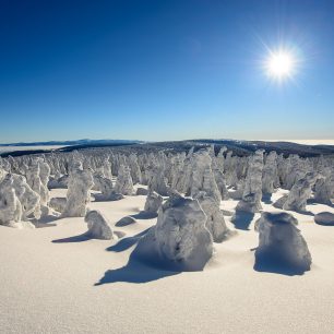 Orlické hory jsou svým mírným profilem jako stvořené pro přejezd na běžkách.