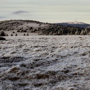 Pohled z Pecného na Břidličnou horu a Praděd, Jeseníky