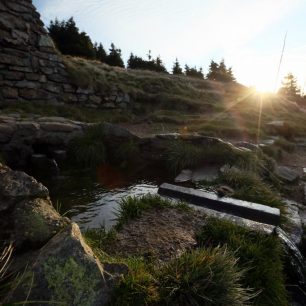 Pramen Moravy pod Králickým Sněžníkem.