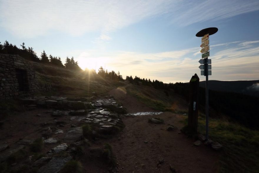 Pramen Moravy pod Králickým Sněžníkem.