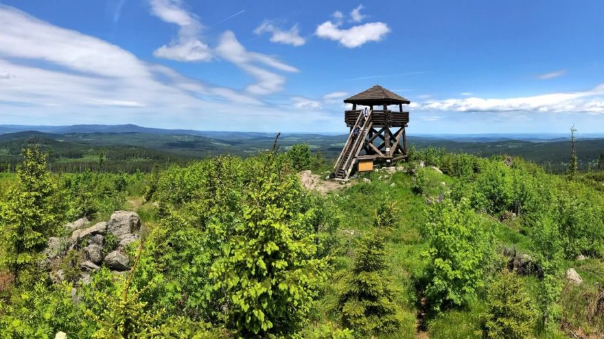 Vrchol Stolec v Rychlebských horách