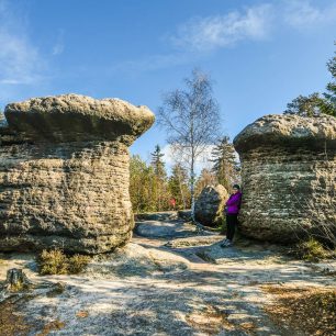 Kamenné hřiby u Slavného