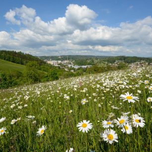 Výhled na Náchod z úbočí Dobrošova