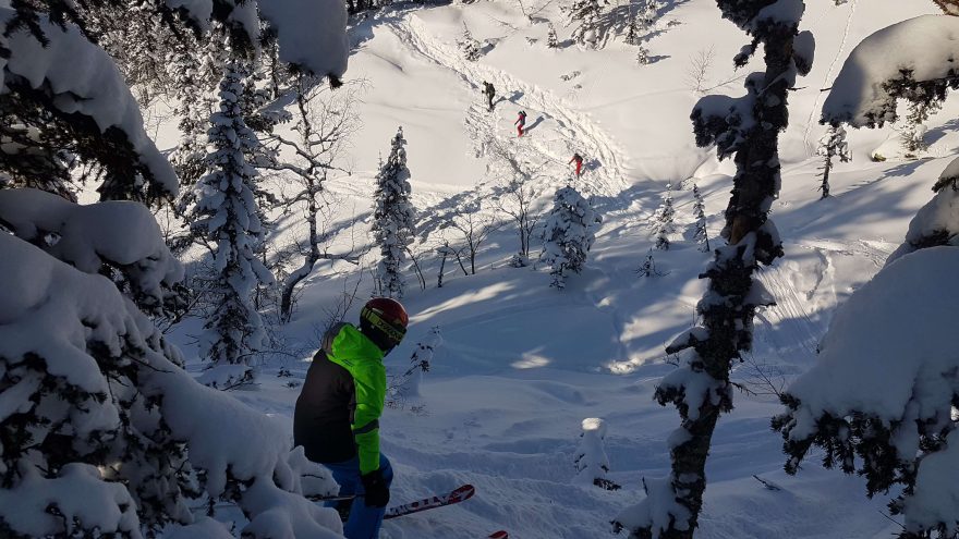 Takto vypadá les před tím, než nasněží. Skialp a freeride v Sheregeshi, Sibiř, Rusko.
