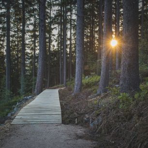 Lesopark na Stráži, Rokytnice nad Jizerou, Krkonoše
