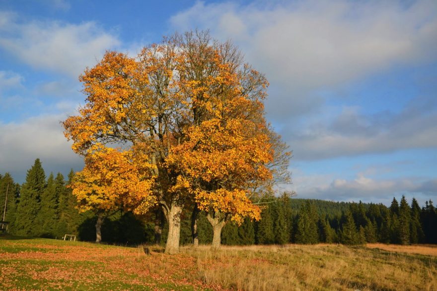 Podzim čaruje, Jizerské hory