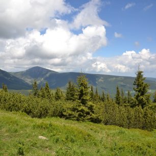 Liščí hřeben, Krkonoše