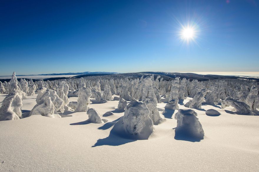 Mezi Olešnicí a Rokytnicí je za ideálních podmínek upravováno celkem 174 kilometrů stop.