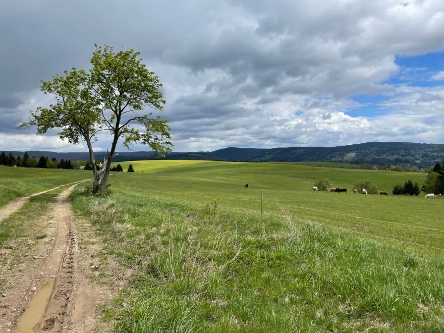 Den 2 - nad Kraslicemi. Přeběh Severní stezky podél severní hranice ČR