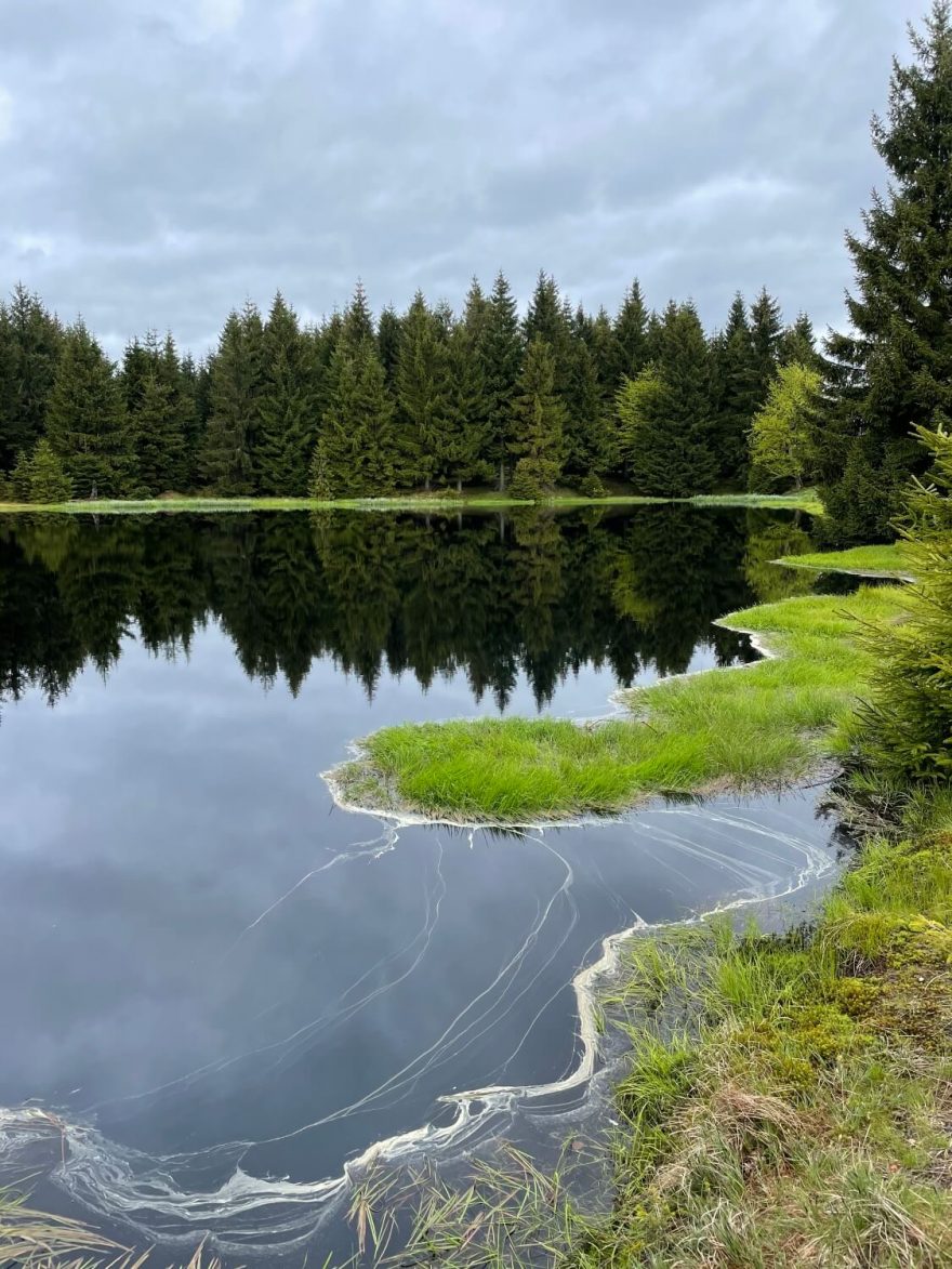 Den 4 - kdesi u Chomutovky, Krušné hory. Přeběh Severní stezky podél severní hranice ČR