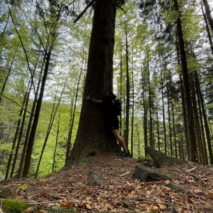 Den 10 - Orlí jedle. Přeběh Severní stezky podél severní hranice ČR