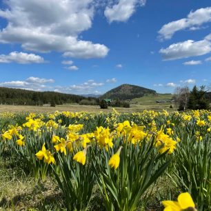 Den 9 - Osada Jizerka, Jizerské hory. Přeběh Severní stezky podél severní hranice ČR