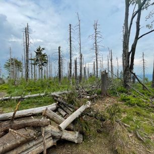 Den 21 - Velký Polom, Beskydy. Přeběh Severní stezky podél severní hranice ČR