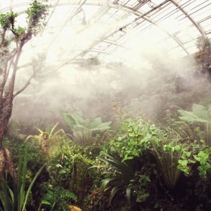 Tropický skleník Fata Morgána, Botanická zahrada Praha