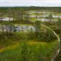 NP Lahemaa: hluboké lesy, bažiny i divoké pláže Estonska