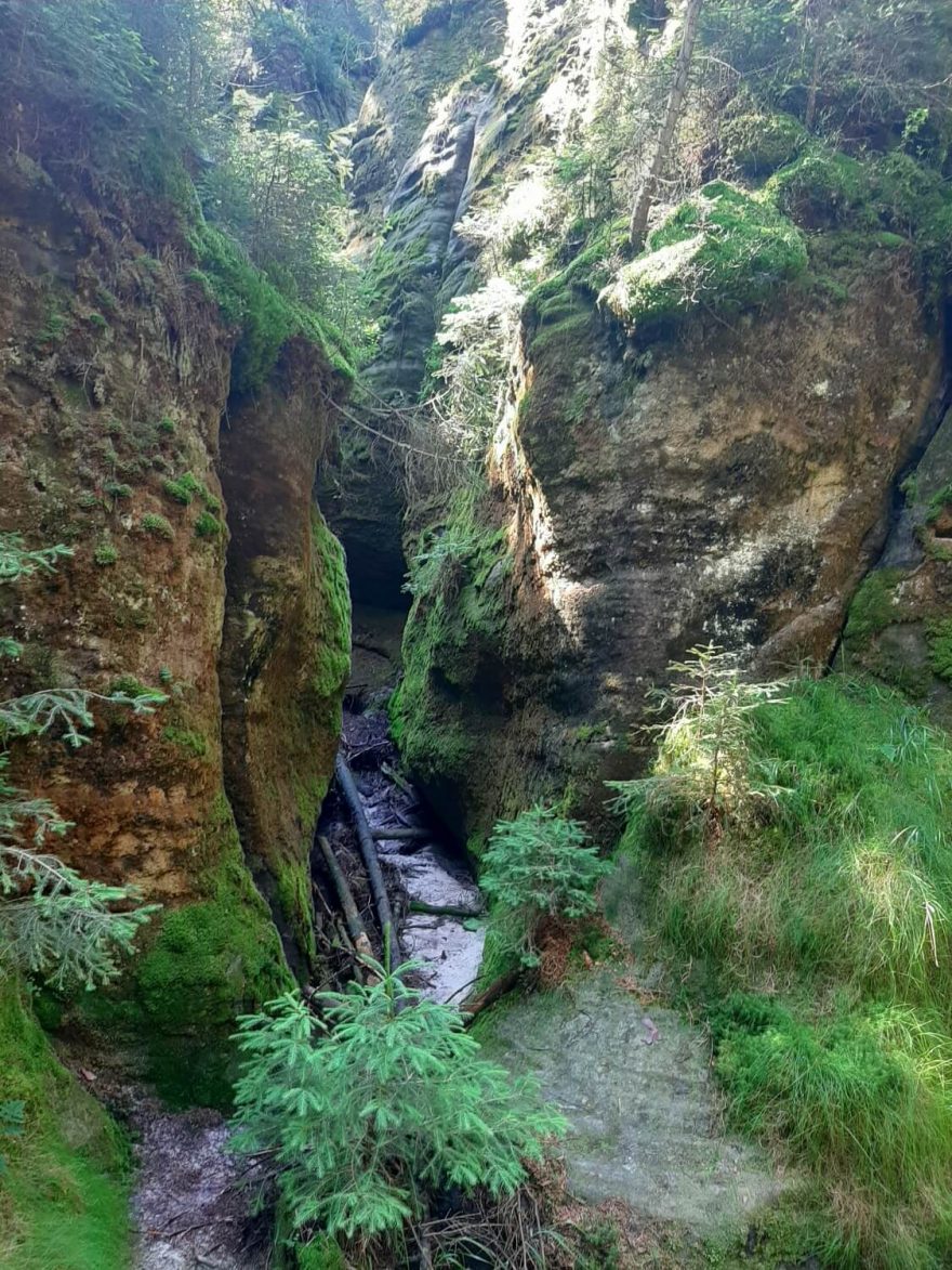 Vlčí rokle, Adršpach