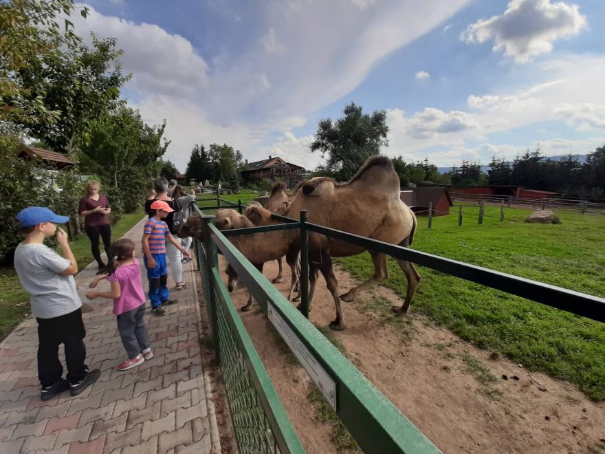 Farma Wenet, zookoutek, Broumov