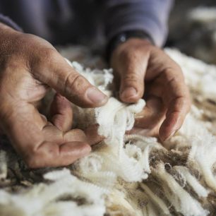 Merino oblečení se vyrábí z prvotřídní vlny ovcí stejnojmenného plemene, které se volně pasou na svěžích pastvinách Nového Zélandu, australské Tasmánie či argentinské Patagonie.