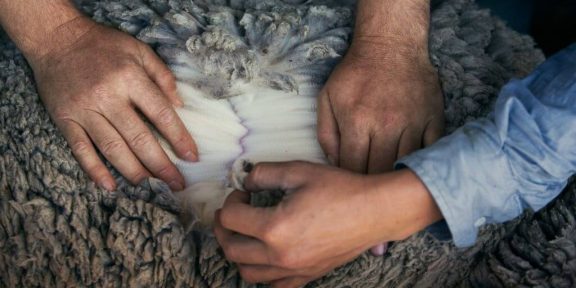 Výroba merino oblečení: jak se rodí funkční prádlo