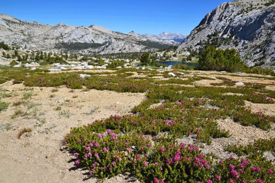 Panorama Yosemit v sedle Vogelsang Pass. Yosemite NP, USA