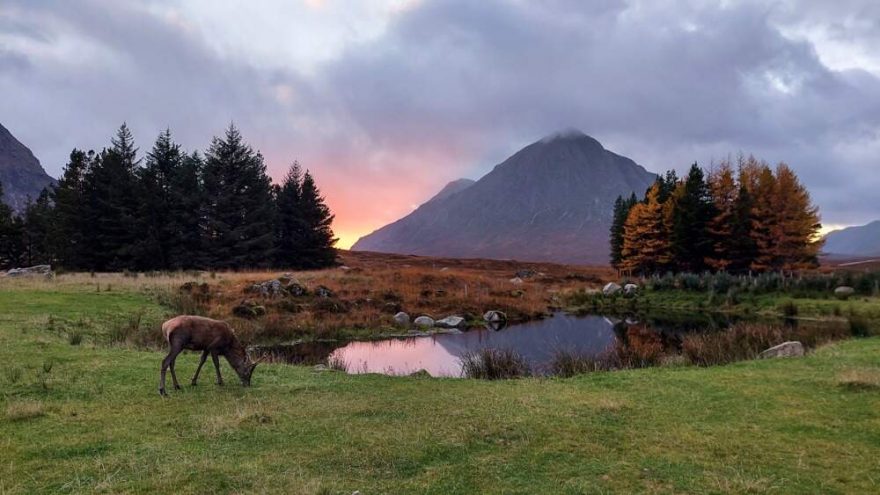 U hotelu Kingshouse. West Highland Way, Skotsko
