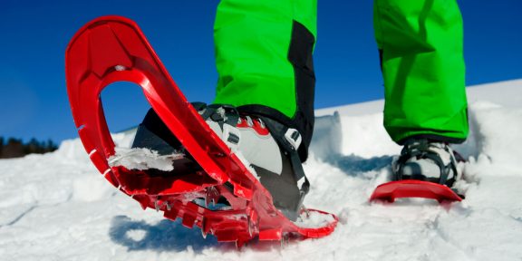 Sněžnice TSL jsou sázkou na jistotu