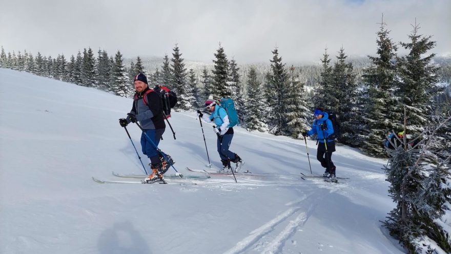 Tužší talířek holí CAMP Ski Track poskytuje kvalitní oporu i na přefouknutém sněhu