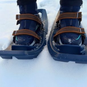 Jednoduché, funkční a snadno ovladatelné sněžnice do mírného terénu, tak se dají ve zkratce charakterizovat sněžnice Decathlon SH100 Easy.