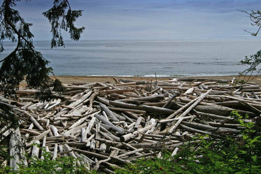 West Coast Trail, trek na ostrově Vancouver, Kanada