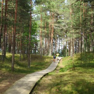 Stezka se v mezi městečky Mersrags a Engure vine skrz pobřežní lesy a mokřady. Baltic Coastal Hiking Route, Rižský záliv, Lotyšsko, Pobaltí.