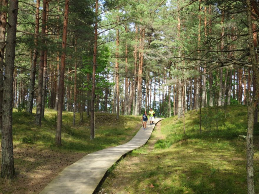 Stezka se v mezi městečky Mersrags a Engure vine skrz pobřežní lesy a mokřady. Baltic Coastal Hiking Route, Rižský záliv, Lotyšsko, Pobaltí.