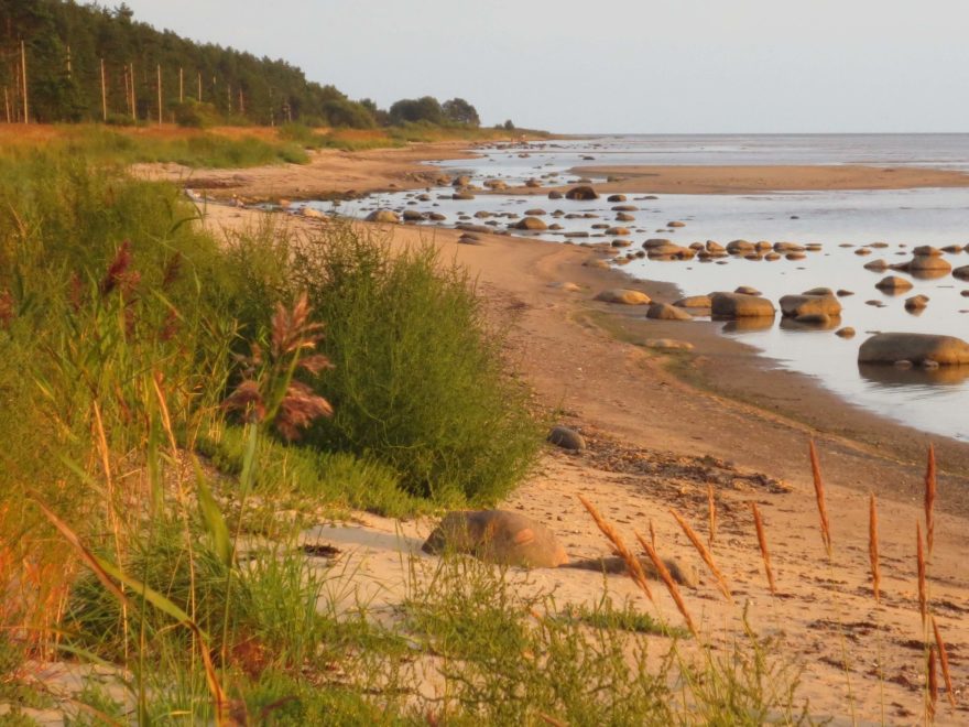 Úsek po zarostlých plážích mezi městečky Svētciems a Ainaži v Lotyšsku nedaleko estonských hranic. Baltic Coastal Hiking Route