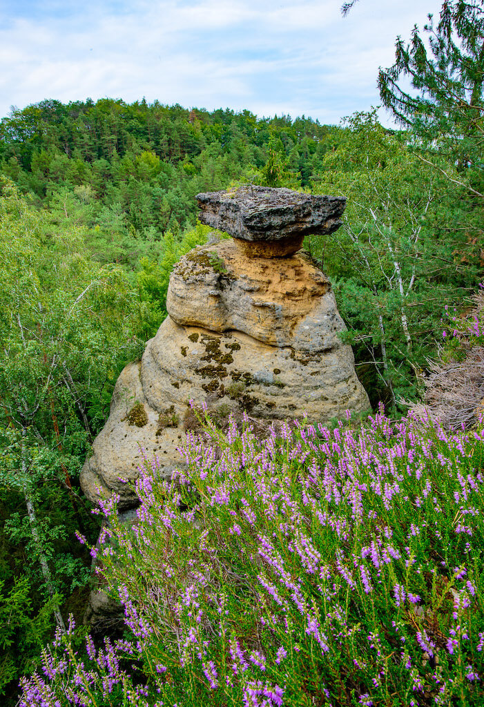 Máchův kraj - Kokořínsko, Stezka středozemím, Via Czechia