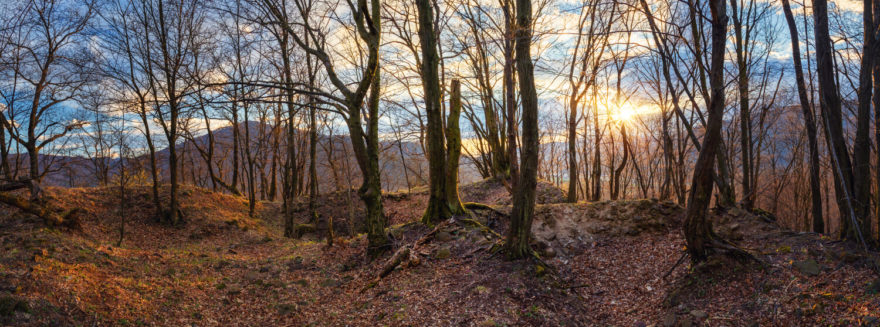Pozůstatky hradu Rudno leží v lesích nad obcí Rudno nad Hronom ve Štiavnických vrších nedaleko Nové Bani a je jedním ze zastavení Pohronské hradní cesty. Region GRON.