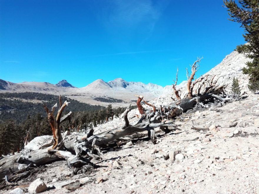 Blížíme se k Mt. Whitney, procházíme měsíční krajinou pohoří Sierra Nevada. John Muir Trail, Kalifornie, USA