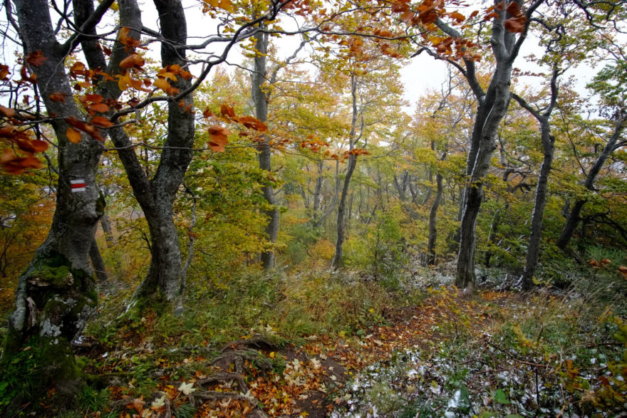 Cesta hrdinů SNP je v celé délce značená červeným turistickým značením.