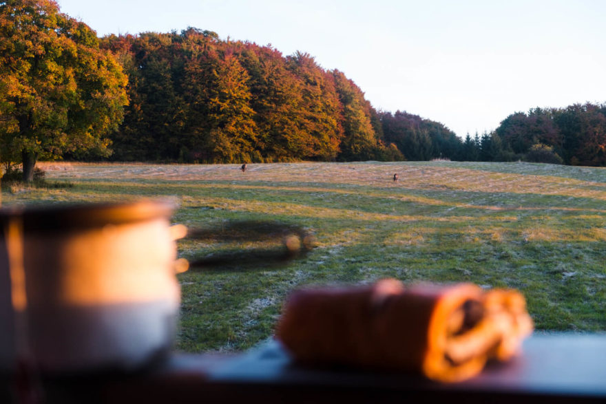 Snídaně a pozorování srnek. Cesta hrdinů SNP, Slovensko.