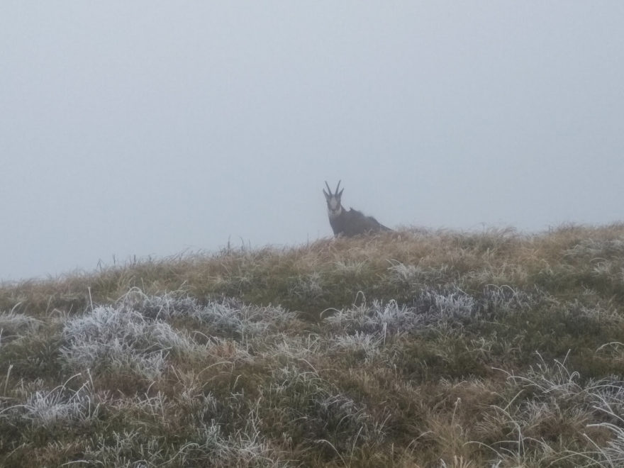 V říjnu už může hřebeny Nízkých Tater pokrýt první sníh. Cesta hrdinů SNP, Slovensko.
