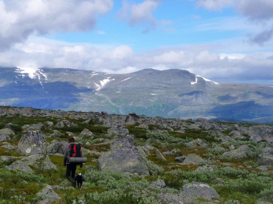 Léto je v Sareku velmi krátké a deštivé.